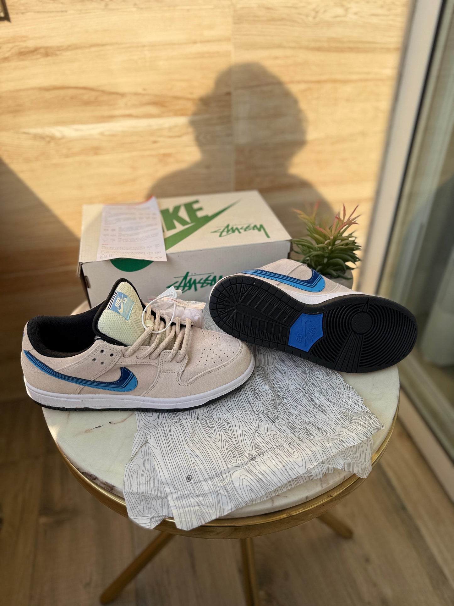 NIKE SB DUNK TRUCK IT