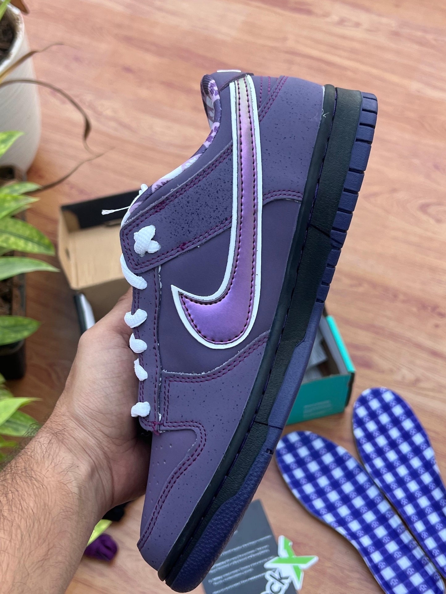 CONCEPTS x DUNK LOW SB PURPLE LOBSTER
