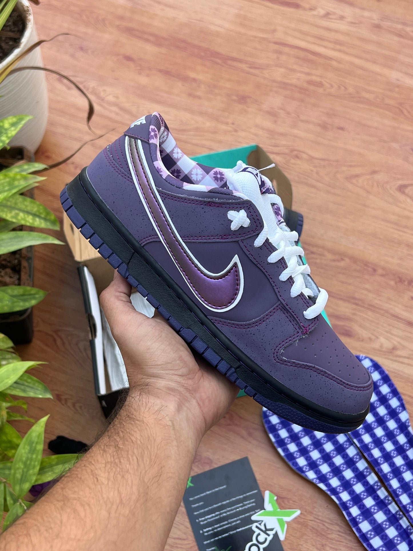 CONCEPTS x DUNK LOW SB PURPLE LOBSTER