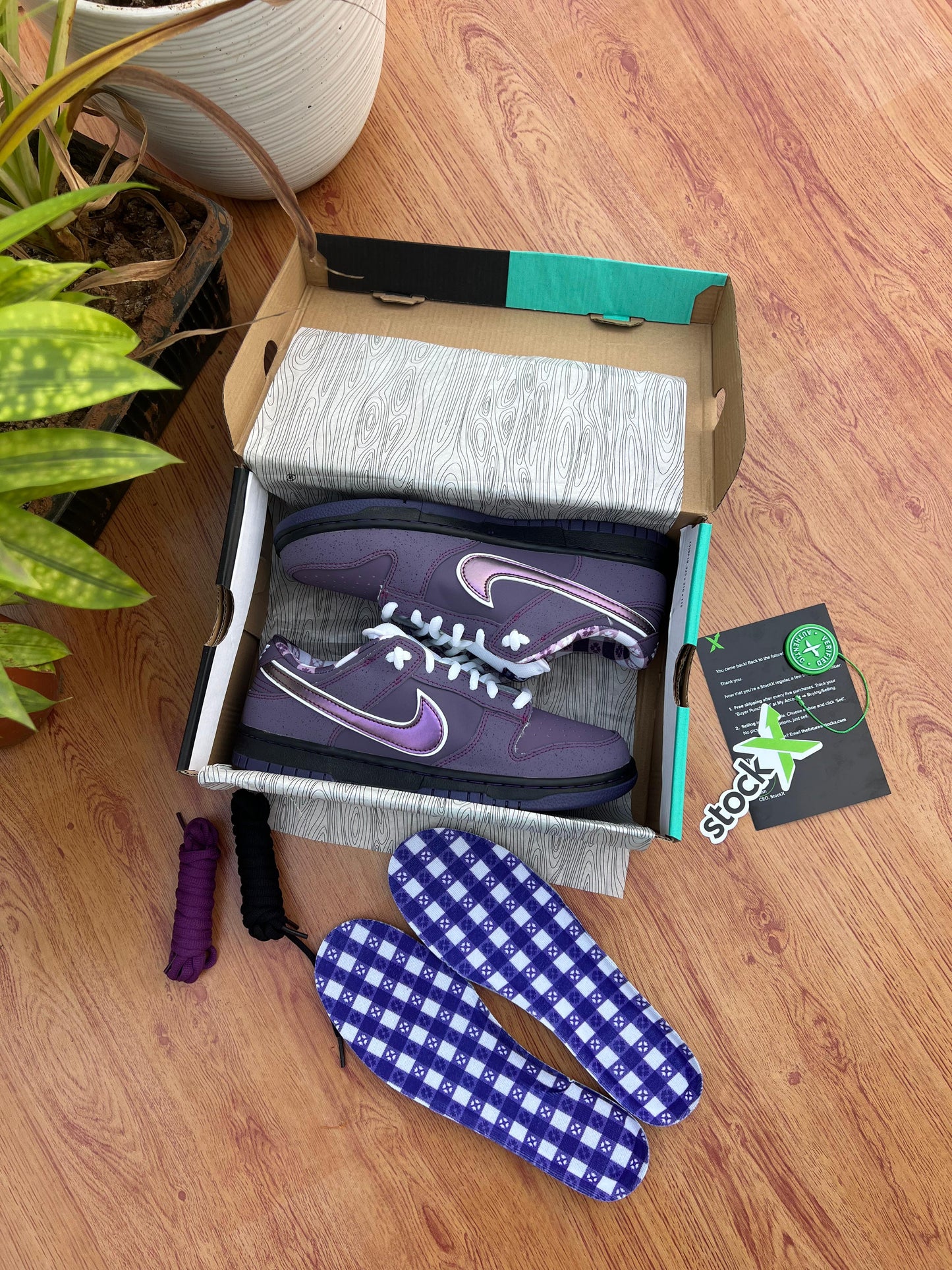CONCEPTS x DUNK LOW SB PURPLE LOBSTER